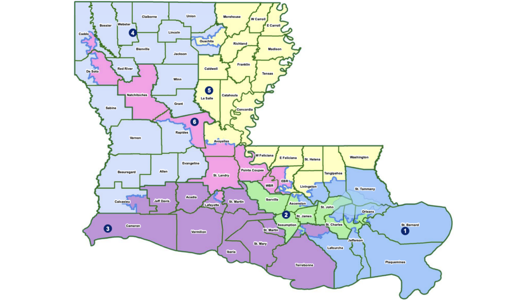 The hypocrisy of the
Louisiana gerrymandering case